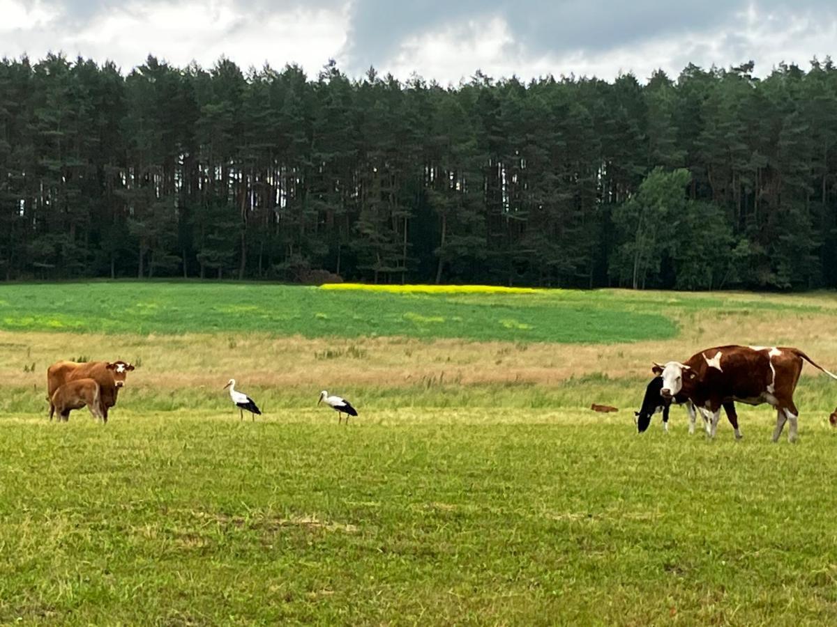 Hotel Mazury Glamping Kruklanki Polana Zyczen Esterno foto